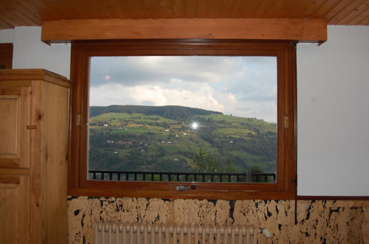 Studio Le Panorama La Bresse Ngoại thất bức ảnh